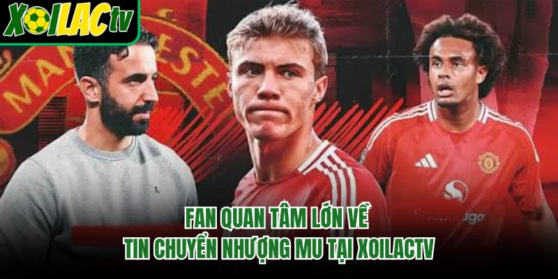 Fan quan tâm lớn về tin chuyển nhượng MU tại xoilactv