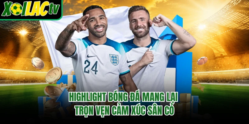 Highlight bóng đá mang lại trọn vẹn cảm xúc sân cỏ